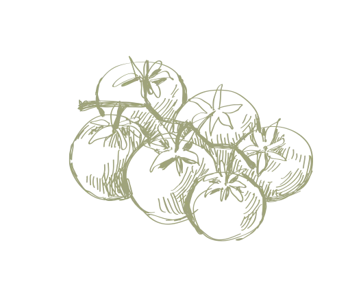 Illustration Illustration